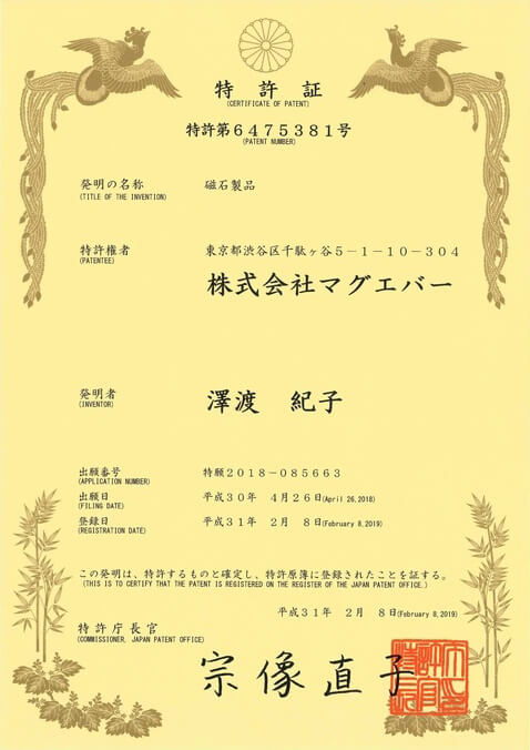 特許第6475381号(磁石製品)