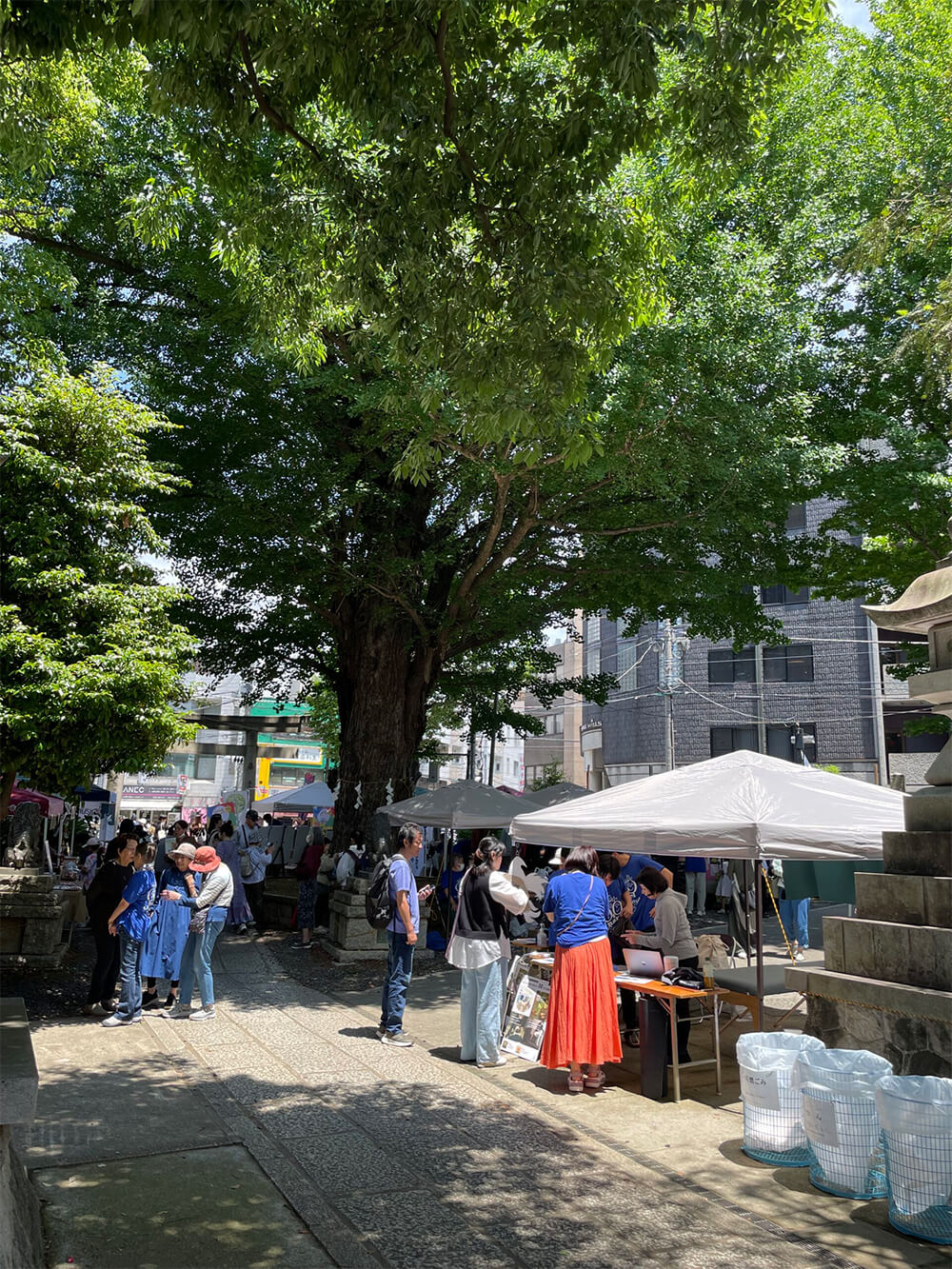 おとなりサンデー